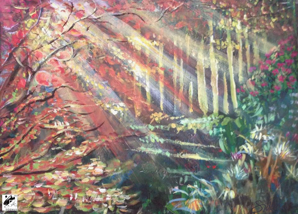 Forest Walk